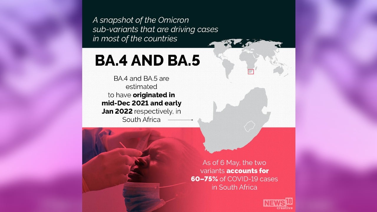 A snapshot of the Omicron sub-variants that are driving cases in most of the countries. (Image: News18 Creative) A snapshot of the Omicron sub-variants that are driving cases in most of the countries. (Image: News18 Creative)
