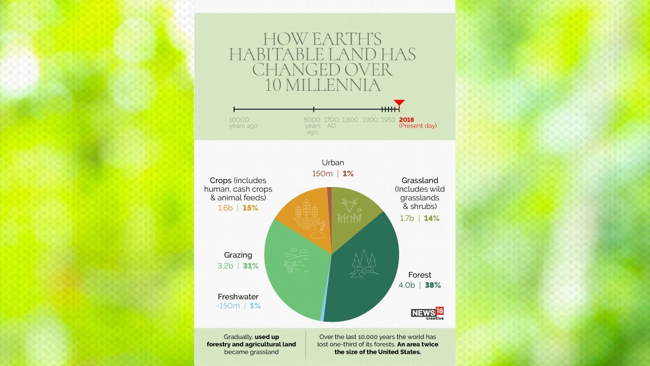 The world has lost one-third of its forest, but an end of