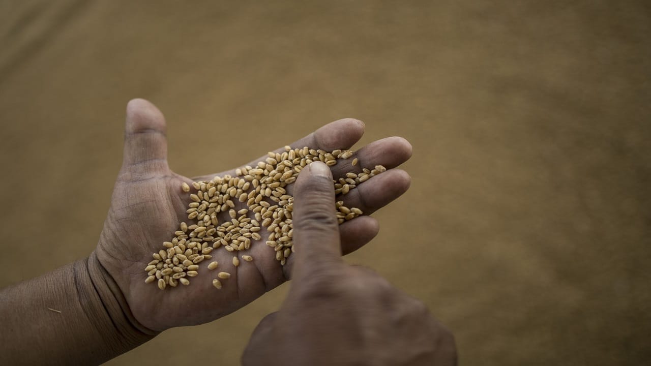 Pay debt or feed people is hungry nations’ impossible choice
