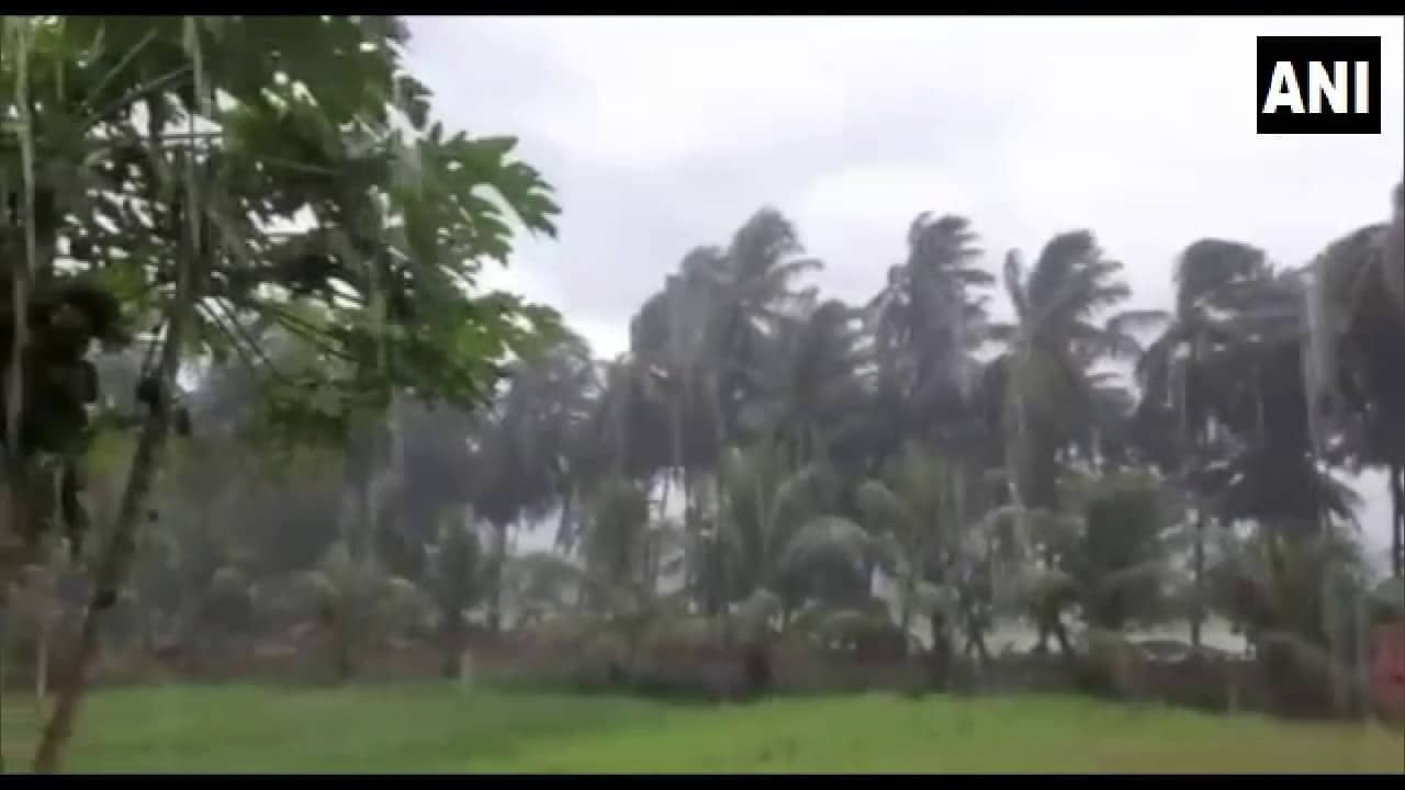 Cyclone Asani: Heavy Rainfall In Parts Of Andhra Pradesh