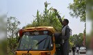 India heatwave | Delhi driver grows garden on autorickshaw roof to beat the heat