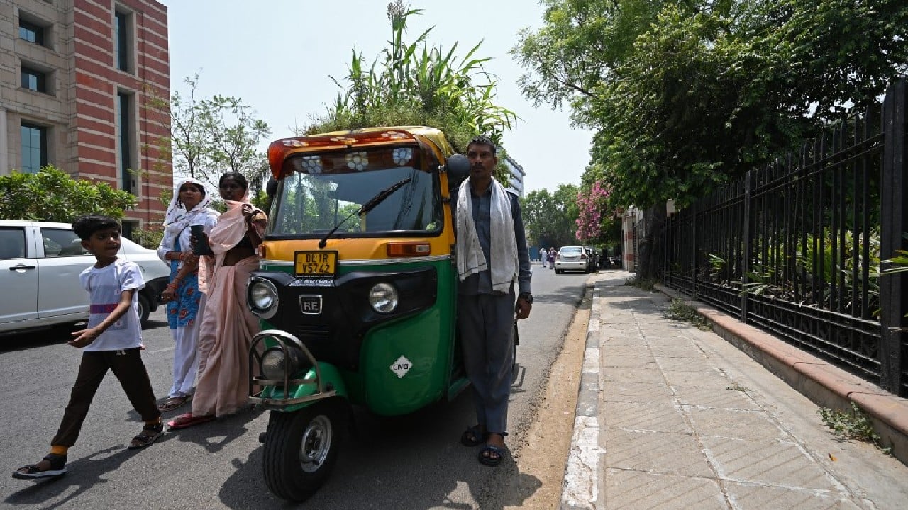 Kumar said he was doing his &quot;own small bit&quot; for the environment by planting lettuce, tomatoes and millets on his autorickshaw. Preparing the roof for sowing was simple: Kumar first put a mat followed by a thick sack on which he sprinkled some soil. (Image: AFP)