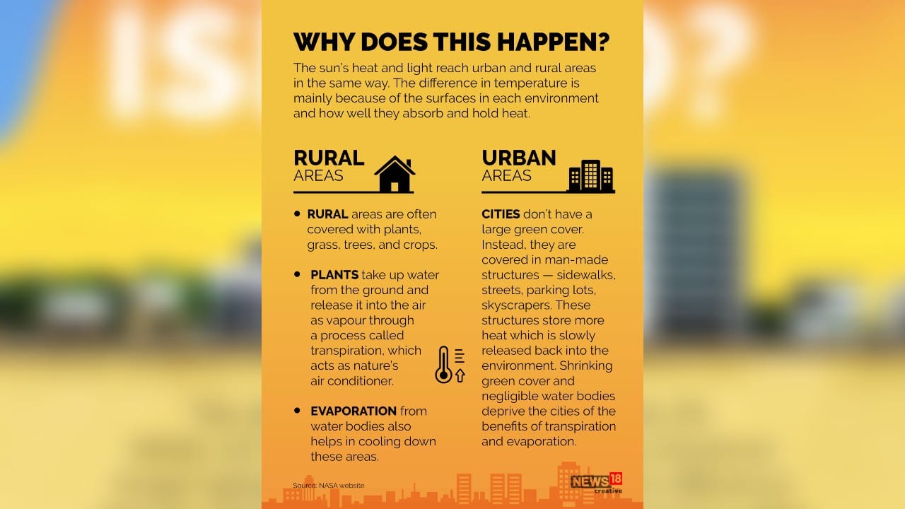 The sun’s heat and light reach urban and rural areas in the same way. The difference in temperature is mainly because of the surfaces in each environment and how well they absorb and hold heat. (Image: News18 Creative)