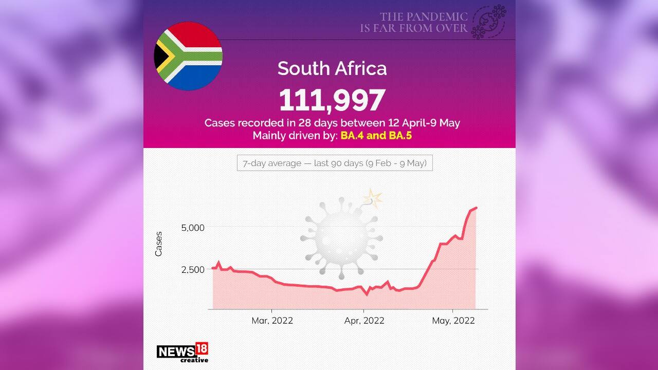 South Africa recorded 1,11,997 cases in 28 days between April 12-May 9. (Image: News18 Creative) South Africa recorded 1,11,997 cases in 28 days between April 12-May 9. (Image: News18 Creative)