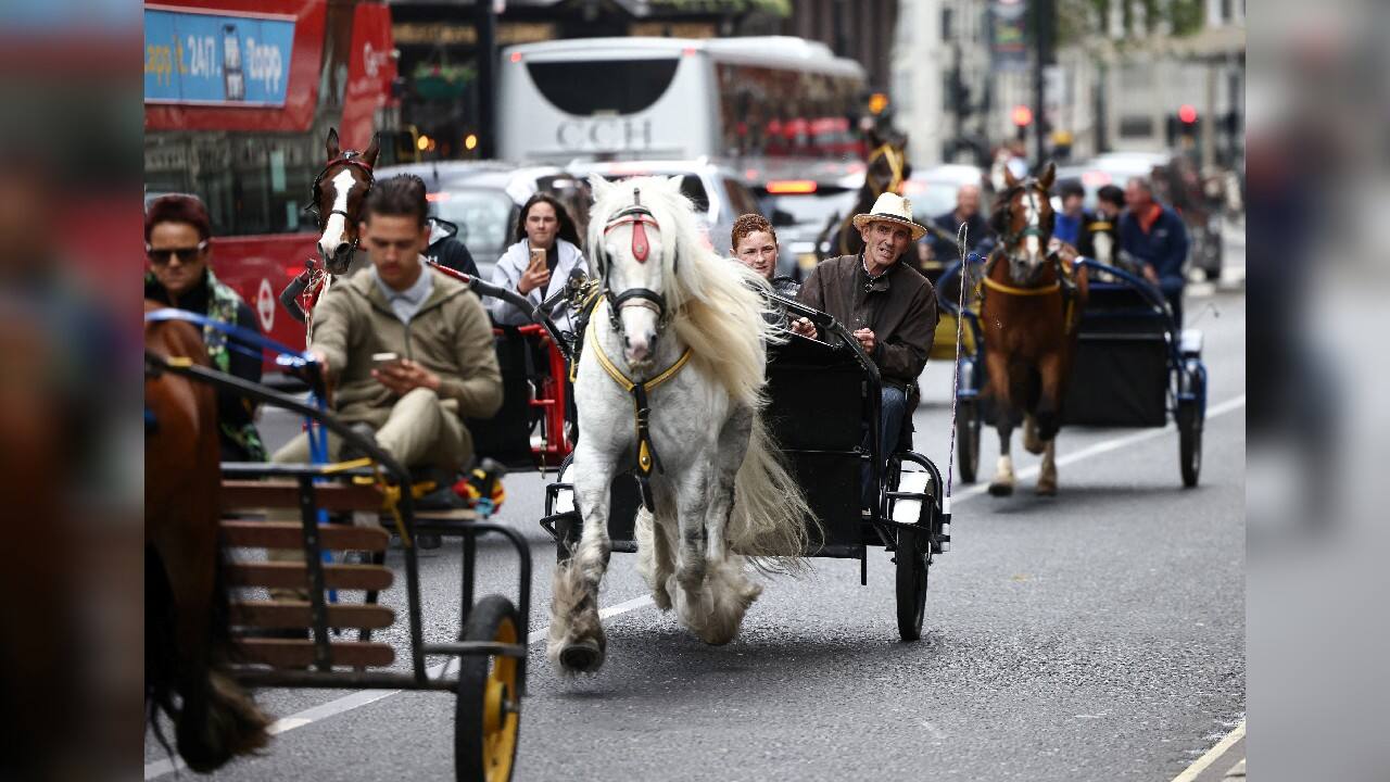 People ride horse drawn carriages along a road in central London, Britain, May 7. (Image: Reuters)