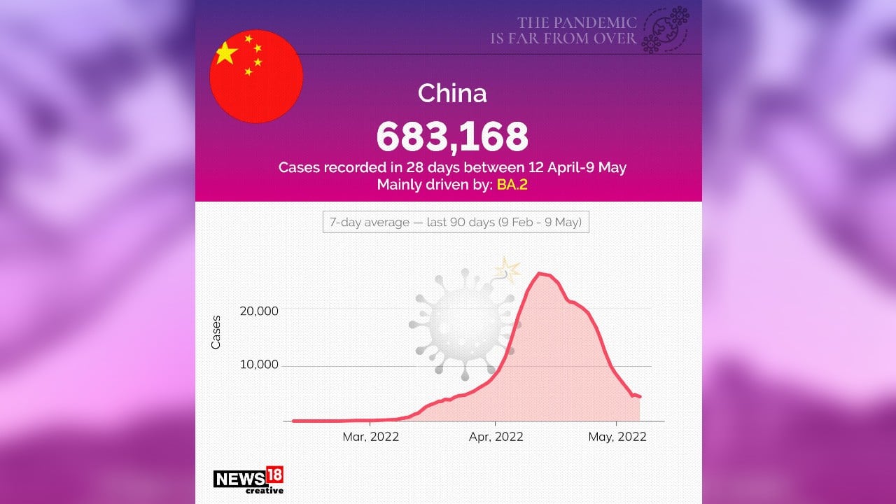 6,83,168 COVID cases recorded in China, between April 12-May 9. (Image: News18 Creative) 6,83,168 COVID cases recorded in China, between April 12-May 9. (Image: News18 Creative)