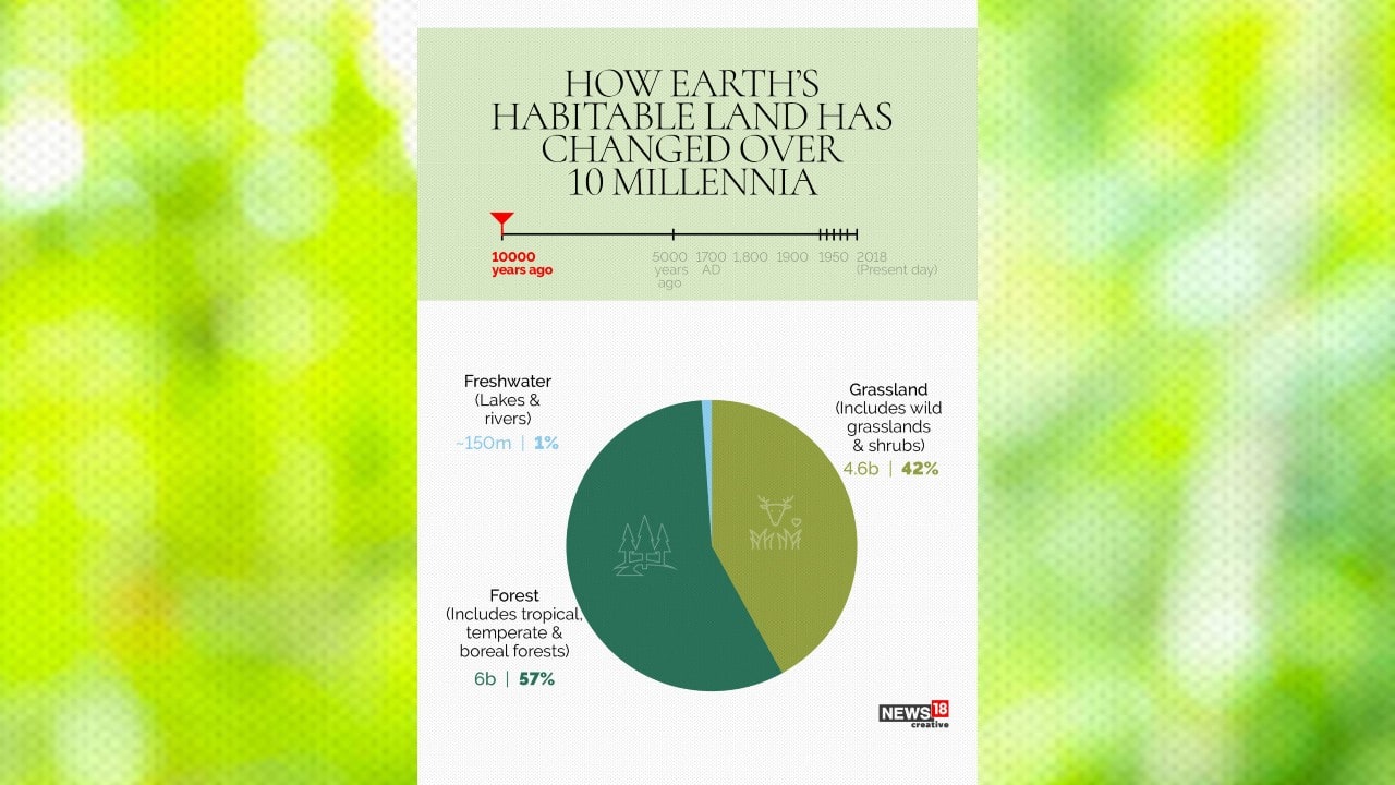 In Pics A Look At Earth S Surface Cover Over 10 Millennia   9 Earth Forest 