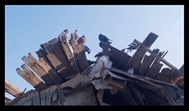 'Mariupolis 2' comprises footage shot by Mantas Kvedaravičius in the besieged port city of Ukraine.