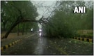 In Pics: Trees uprooted, traffic disrupted after heavy rain, strong winds lash Delhi-NCR In Pics: Trees uprooted, traffic disrupted after heavy rain, strong winds lash Delhi-NCR