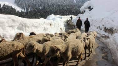 J&K | Supporting Hindus in Valley is biggest pushback against terrorists J&K | Supporting Hindus in Valley is biggest pushback against terrorists