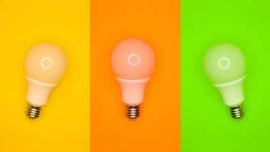 Cheering for environment-friendly LED Bulbs? Read This Cautionary Tale First.