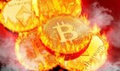 Moneycontrol Masterclass | Crypto slump to last up to 18 more months