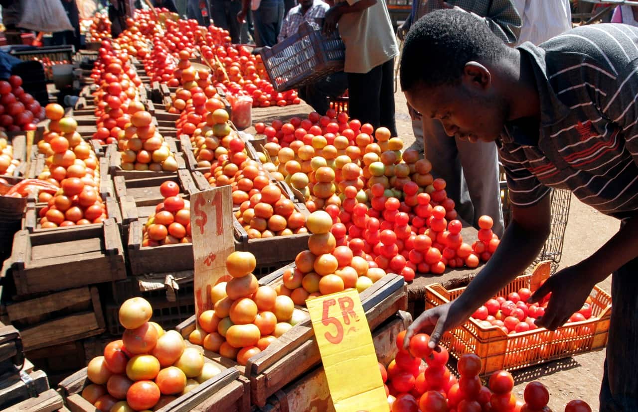 Zimbabwe’s inflation is back above 100% after currency plunge