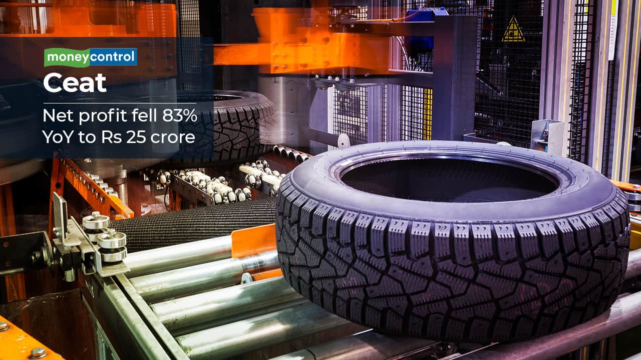 CEAT Q3 FY25:  Bumpy ride, but valuation offers comfort