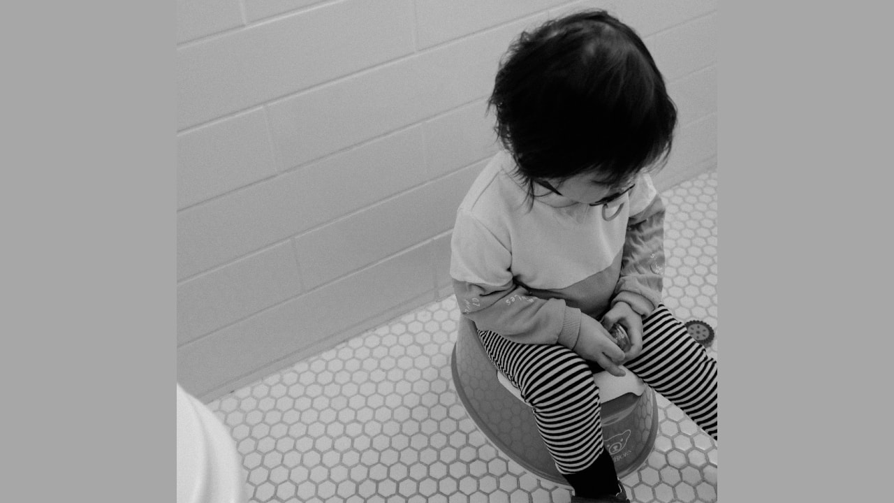My Family and Other Globalizers | Potty training can be a parent's personal Everest, or Mt Abu at best