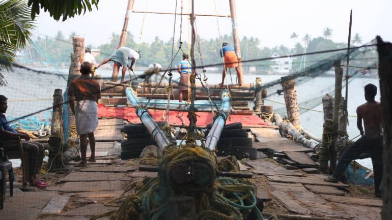 Fish meal exports boom on sardine rush to Indian coasts amid global shortage - Vimarsana News
