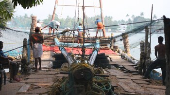 Fish meal exports boom on sardine rush to Indian coasts amid global shortage