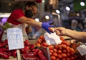 El Niño disruption to food prices may affect inflation control: Fitch Ratings