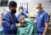 Virus found in pig heart transplanted to US man. He died two months ago