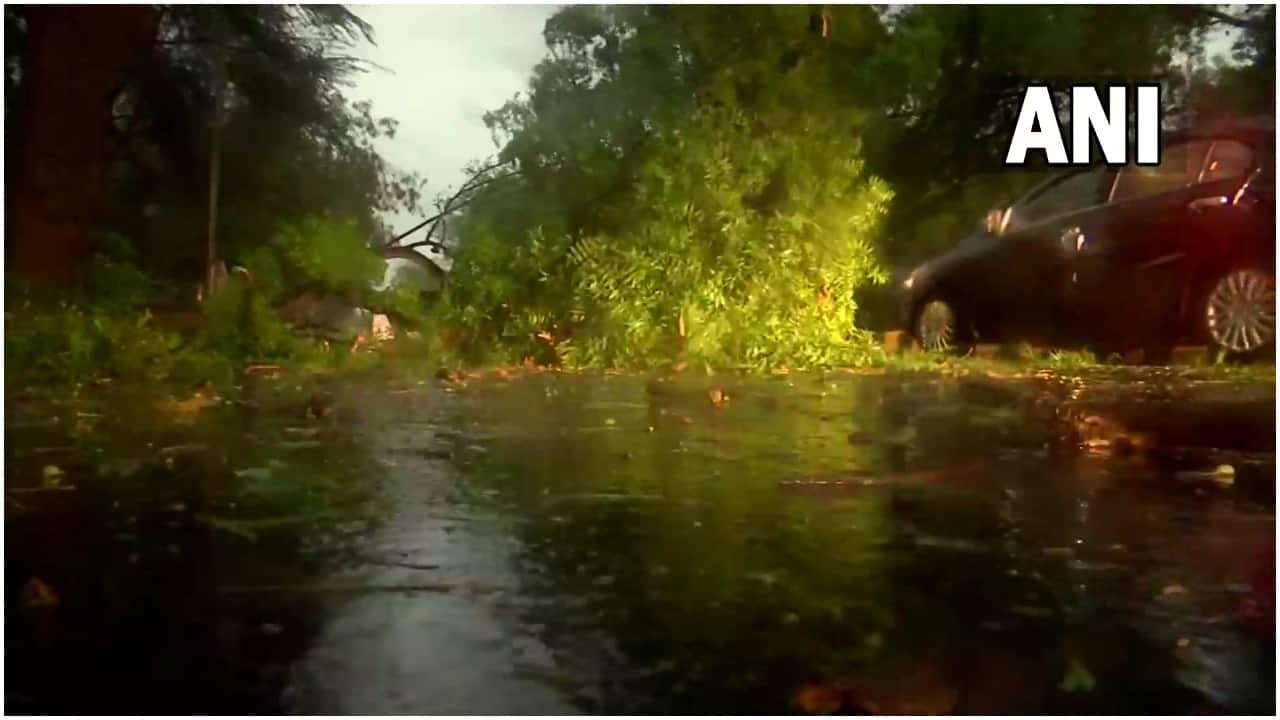 A tree uprooted in Dhaula Kuan after heavy rainfall battered the area on Monday morning (Image credit: ANI/Twitter)