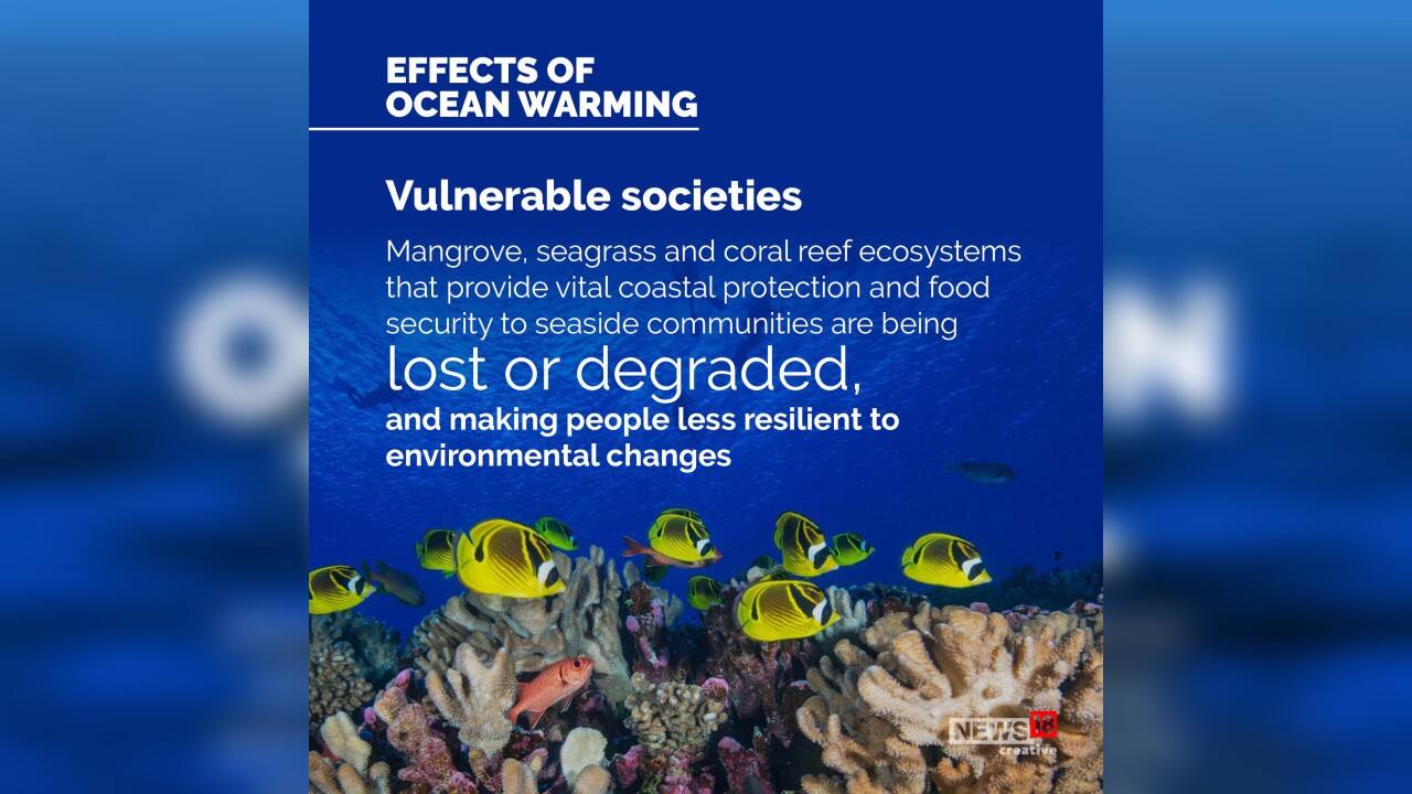 Mangrove, seagrass and coral reef ecosystems that provide vital coastal protection and food security to seaside communities are being lost or degraded, and making people less resilient to environmental changes.