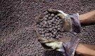 High export tariff of 45 percent to make iron ore pellet export unviable: ICRA