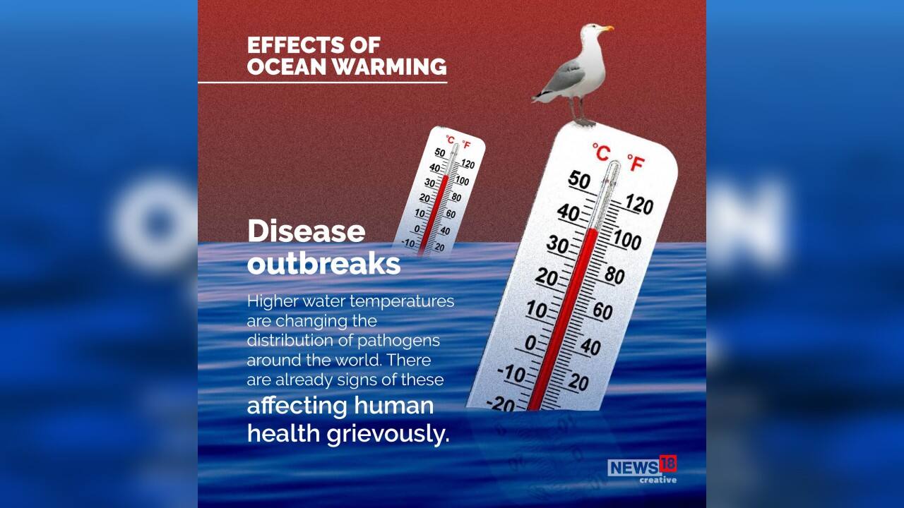 Higher water temperatures are changing the distribution of pathogens around the world.