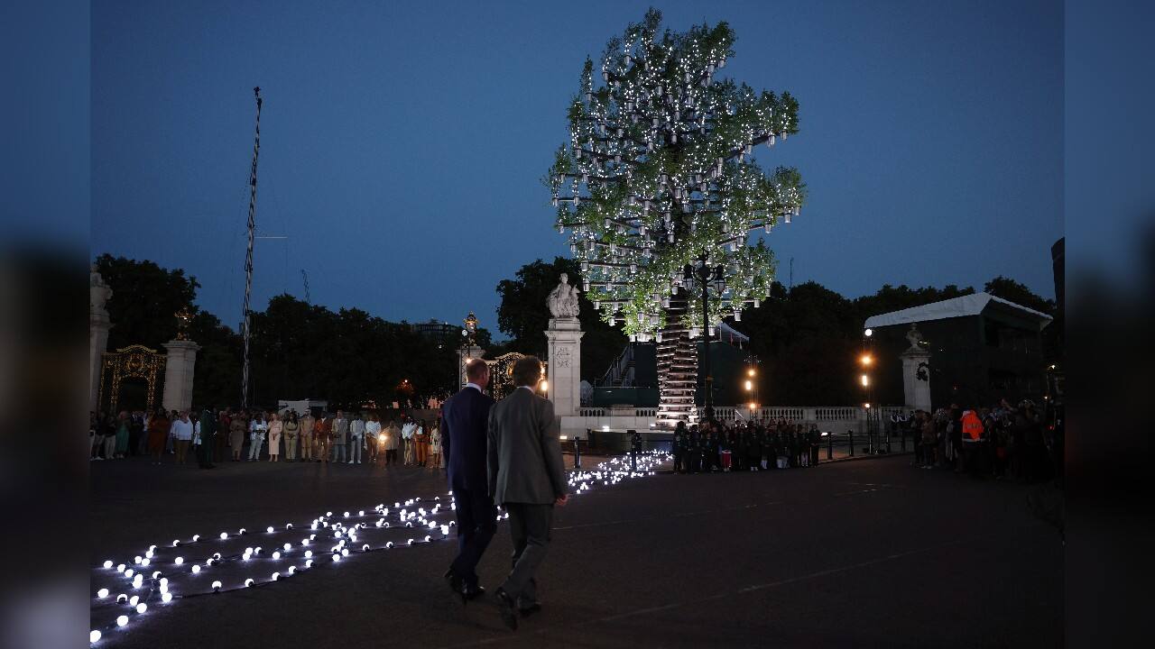 In London, Prince William attended a ceremony at Buckingham Palace, watching on as the Tree of Trees sculpture lit up after the queen pushed the button at Windsor. (Image: AP)