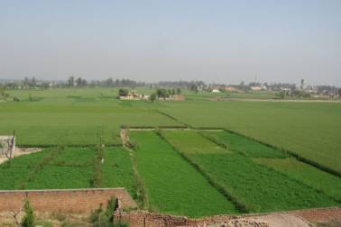 Chart of the Day: Gloom over rural economy continues