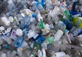 Survey shows overwhelming support in favour of single use plastic ban