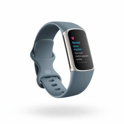 Product render of Fitbit, 3QTR view, in Steel Blue and Platinum.