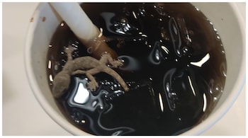 The McDonald's outlet was penalised two weeks after a photo of the drink went viral on social media. (Image credit: @Bhargav21001250/Twitter)