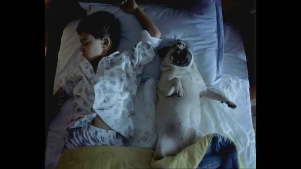 Storyboard18 | Throwback: A boy, a pug and Hutch