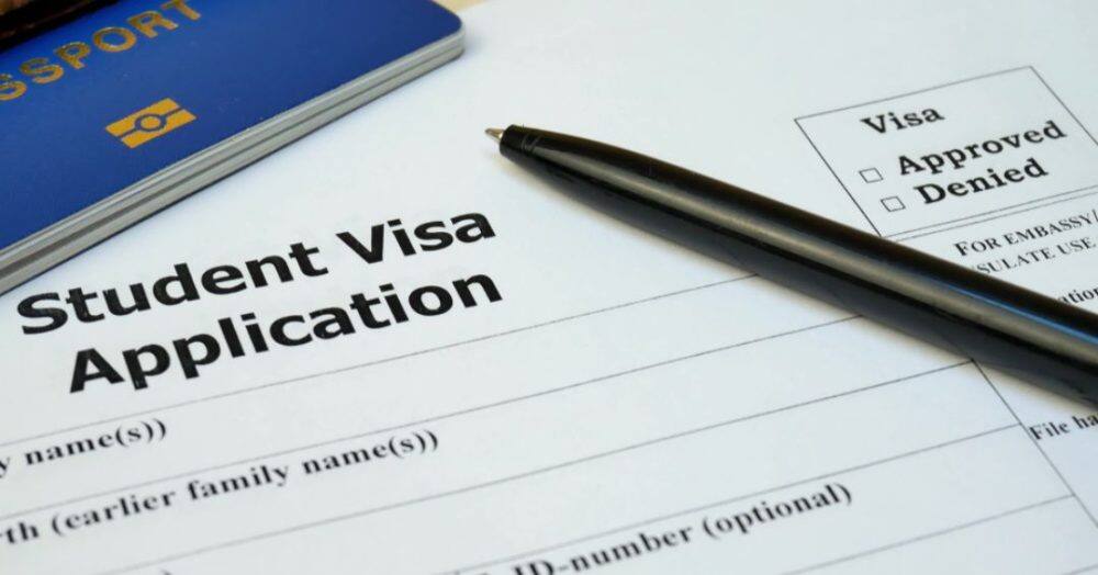 US to fast-track processing of work permits for STEM students