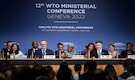 WTO strikes global trade deals on food security, fisheries subsidies deep into overtime
