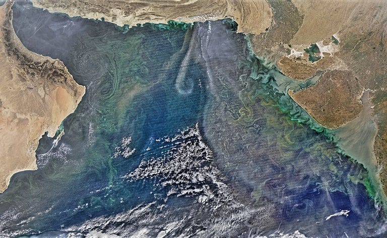 Satellite view of winter phytoplankton bloom in the Arabian Sea, showing dust blowing in from land. Photo by NASA/ Wikimedia Commons