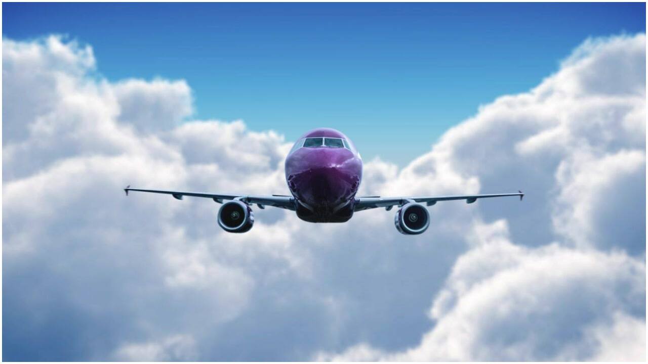 Wizz Air expects response to India entry plans in six months