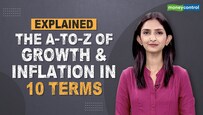 Explained | The A-Z of Inflation: 10 key terms you must know