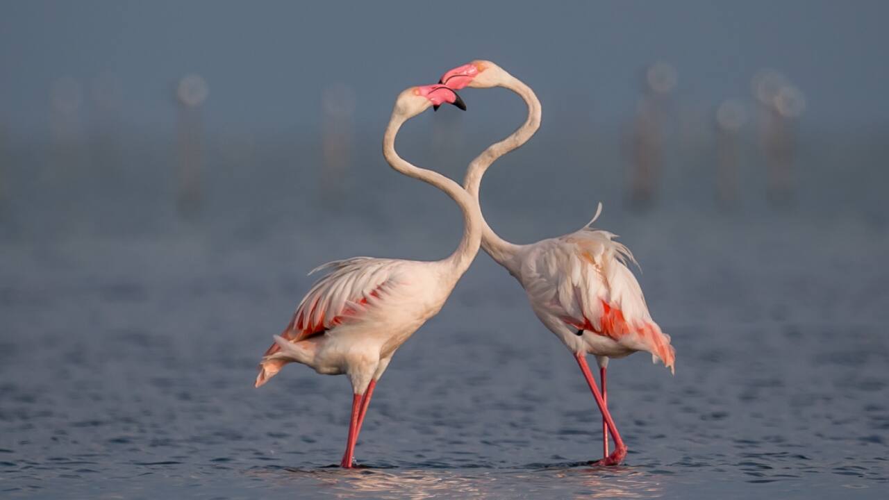 MC Travel Special | Five getaways from Chennai