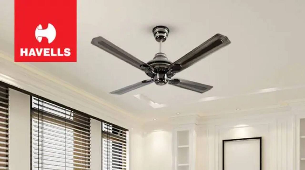 Number of schemes that newly added the stock “Havells India”: 5 | Total number of schemes that held the stock: 51. Stock of Havells India was newly added by the ICICI Pru Housing Opp, Mahindra Manulife ELSS Kar Bachat Yojana, and Taurus Flexi Cap Fund.