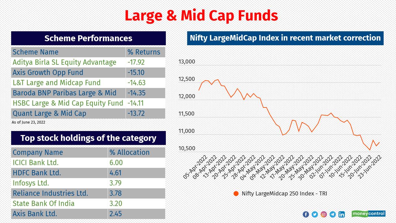 Large &amp; Mid Cap Funds, which are required to invest a minimum of 35 percent each in large cap stocks and mid cap stocks, have delivered negative returns of 12.11 percent since April 1.