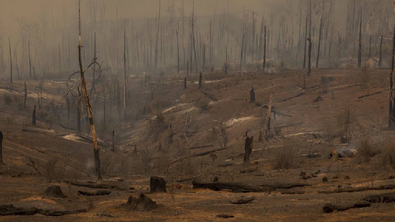 It has already destroyed 10 properties and damaged five others, with thousands more threatened. More than 6,000 people had been evacuated, said Hector Vasquez, a CAL FIRE official. (Image: AFP)