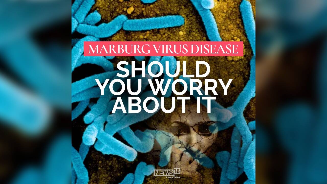 MC Explains: What is Marburg virus and does India need to be on alert?