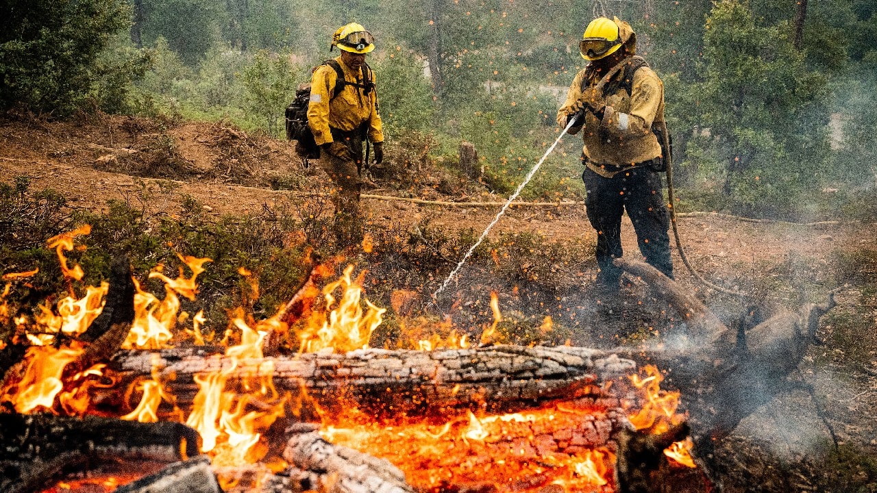 After minimal growth on July 25 and overnight, the blaze had consumed nearly 29 square miles (75 square kilometers) of forest land, with 26 percent containment on July 26, Cal Fire said. The cause was under investigation. “Although good progress continues on the fire, there is much work to be done,&quot; Cal Fire said. (Image: AP)