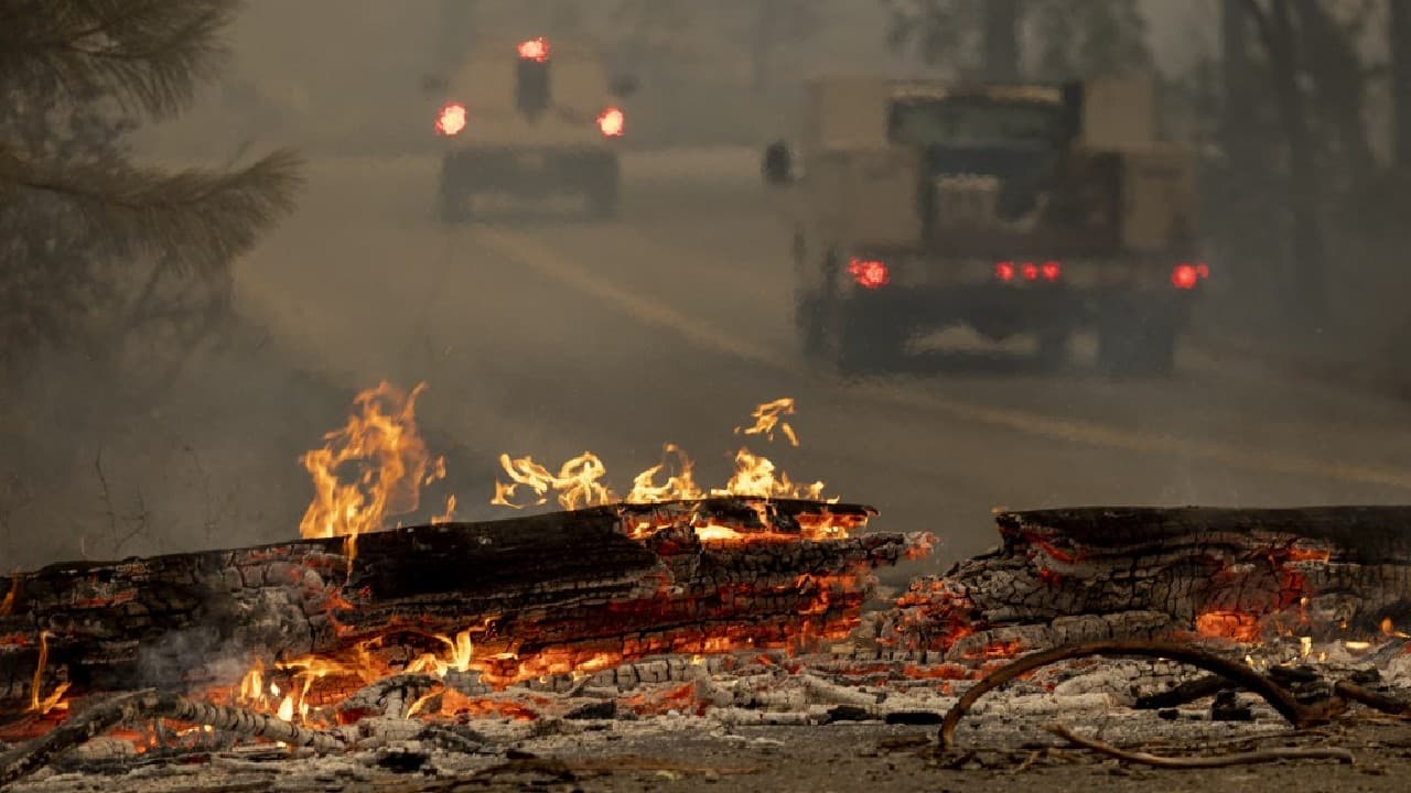 Evidence of global warming could be seen elsewhere in the country, as 85 million Americans in more than a dozen states were under a weekend heat advisory. The crisis prompted former vice president Al Gore, a tireless climate advocate, to issue stark warnings on July 24 about &quot;inaction&quot; by US lawmakers. (Image: AFP)
