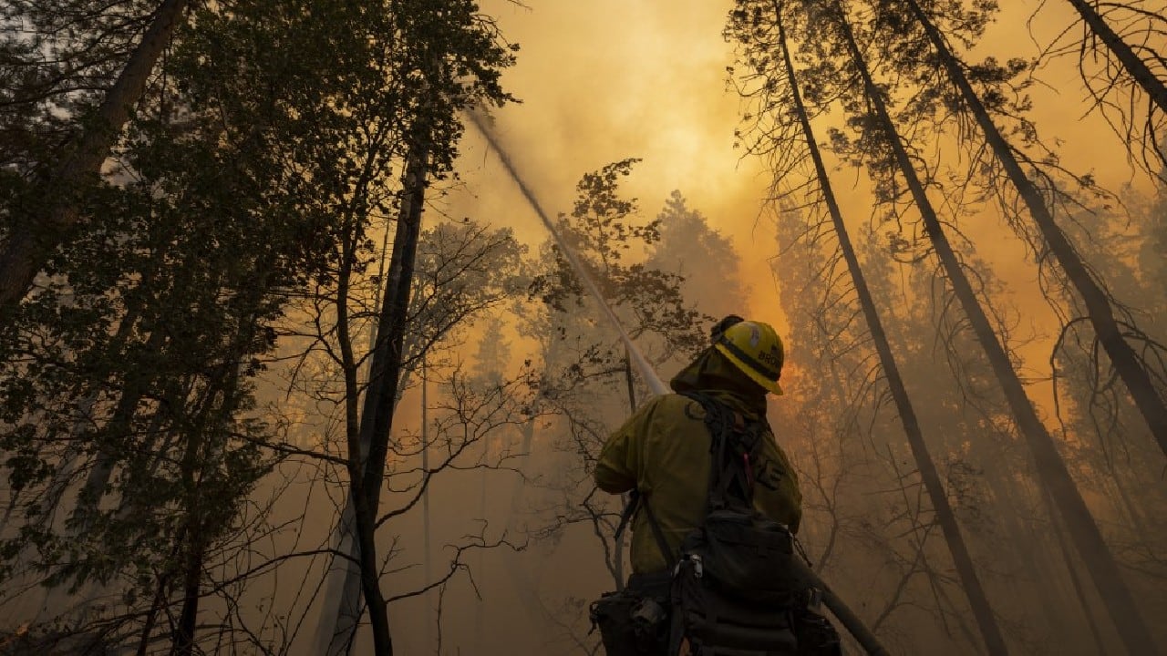 Cities have been forced to open cooling stations and increase outreach to at-risk communities such as the homeless and those without access to air conditioning. Various regions of the globe have been hit by extreme heat waves in recent months, such as Western Europe in July and India in March to April, incidents that scientists say are an unmistakable sign of a warming climate. (Image: AFP)