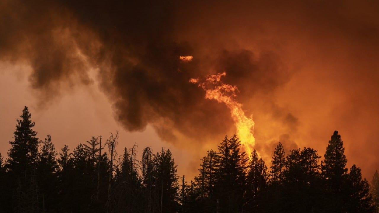 But two days after it began, the blaze has already consumed more than 15,600 acres (6,313 hectares) and remains zero percent contained, the report said, adding that heat combined with low humidity would &quot;hamper&quot; efforts on July 24. &quot;Extreme drought conditions have led to critical fuel moisture levels,&quot; according to CAL FIRE's report. (Image: AFP)