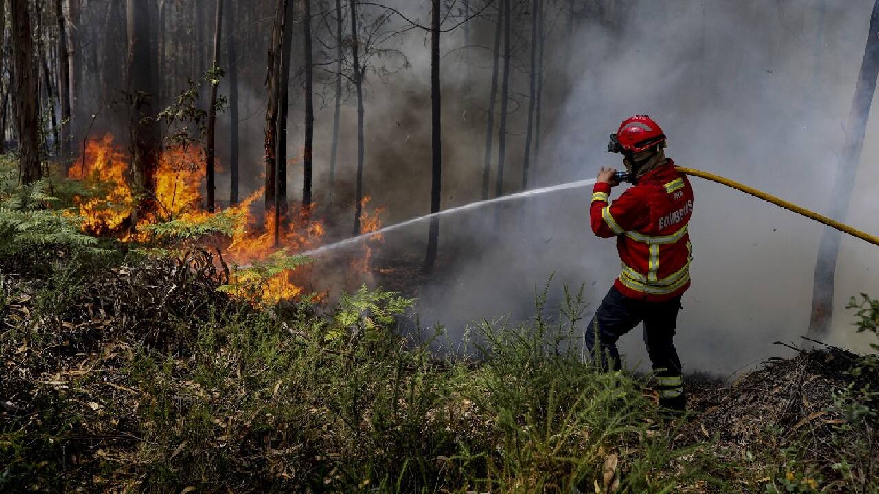 And in Portugal -- on alert for wildfires for days -- one person had died in a forest blaze, authorities said, after a body was found in a burned area in the northern region of Aveiro. At Leiria, central Portugal, locals fought to save their village as fires closed in on them. (Image: AFP)