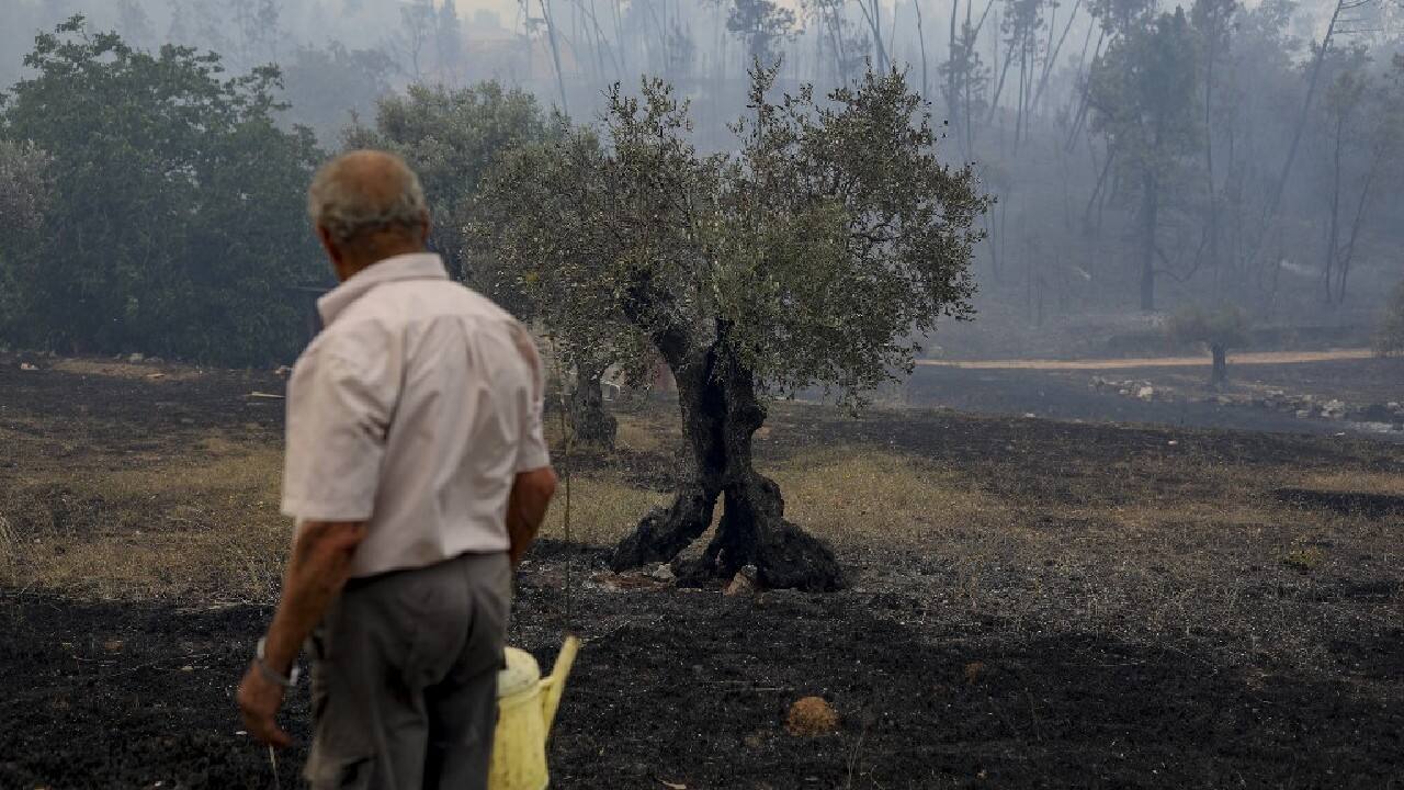 &quot;Everything burned yesterday except the houses, because the people are very brave and defended them themselves,&quot; said 77-year-old farmer Adelino Rodrigues. &quot;The firefighters arrived much later.&quot; It brought back memories of the devastating wildfires in 2017, which claimed the lives of more than 100 people in Portugal. &quot;It looked like the end of the world,&quot; he recalled. (Image: AFP)