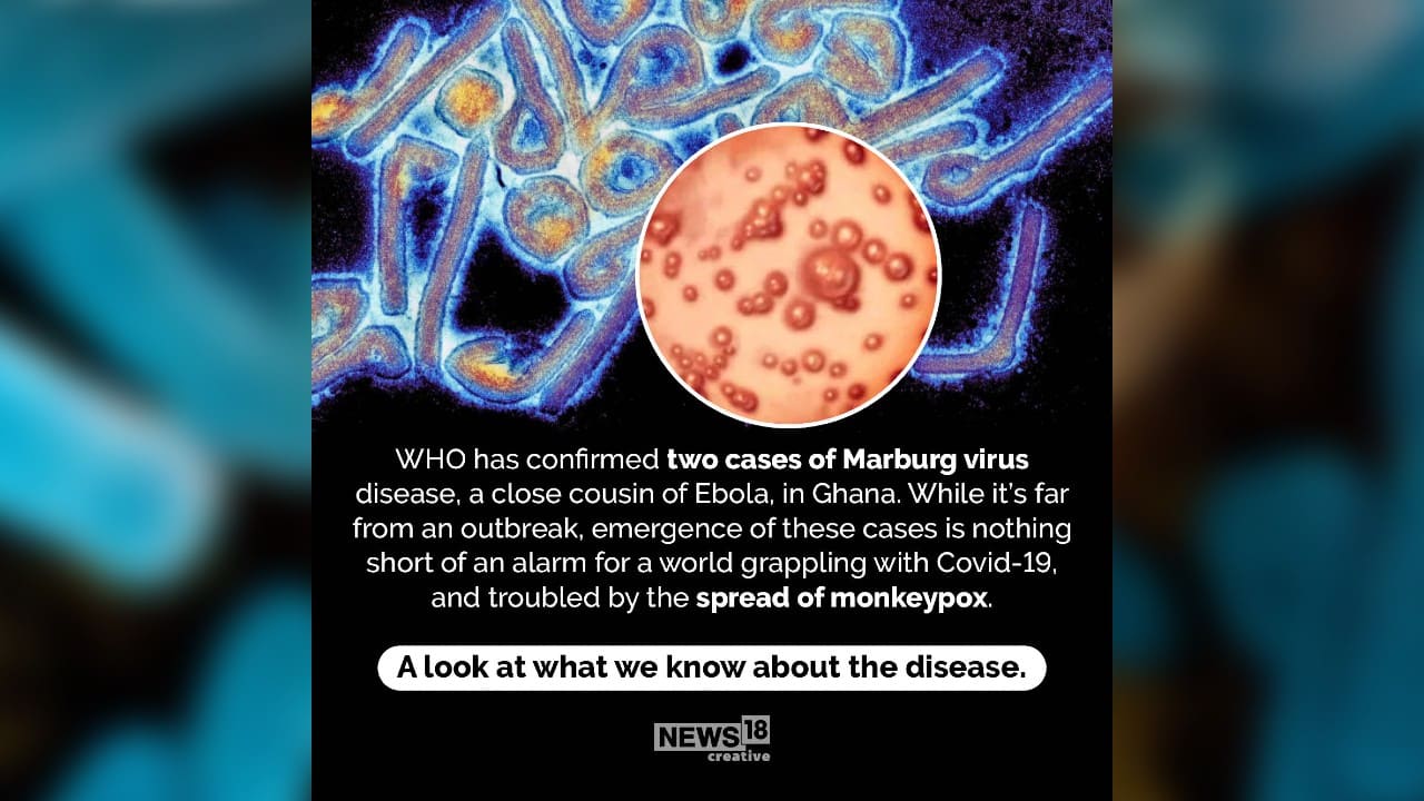 World Health Organization (WHO) has confirmed two cases of Marburg virus disease, a close cousin of Ebola, in Ghana. While it’s far from an outbreak, emergence of these cases is nothing short of an alarm for a world grappling with COVID-19, and troubled by the spread of monkeypox. (Image: News18 Creative)